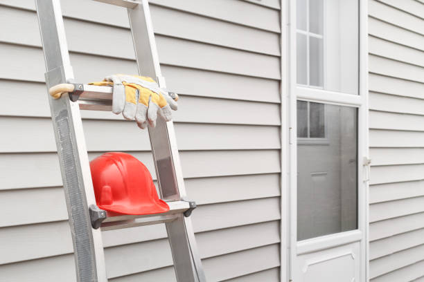 Best Custom Siding Design  in Panacea, FL