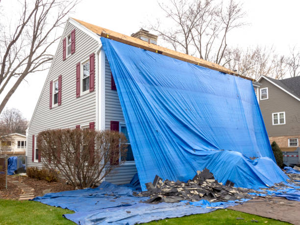 Best Siding Repair  in Panacea, FL